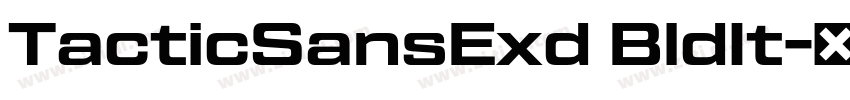 TacticSansExd BldIt字体转换